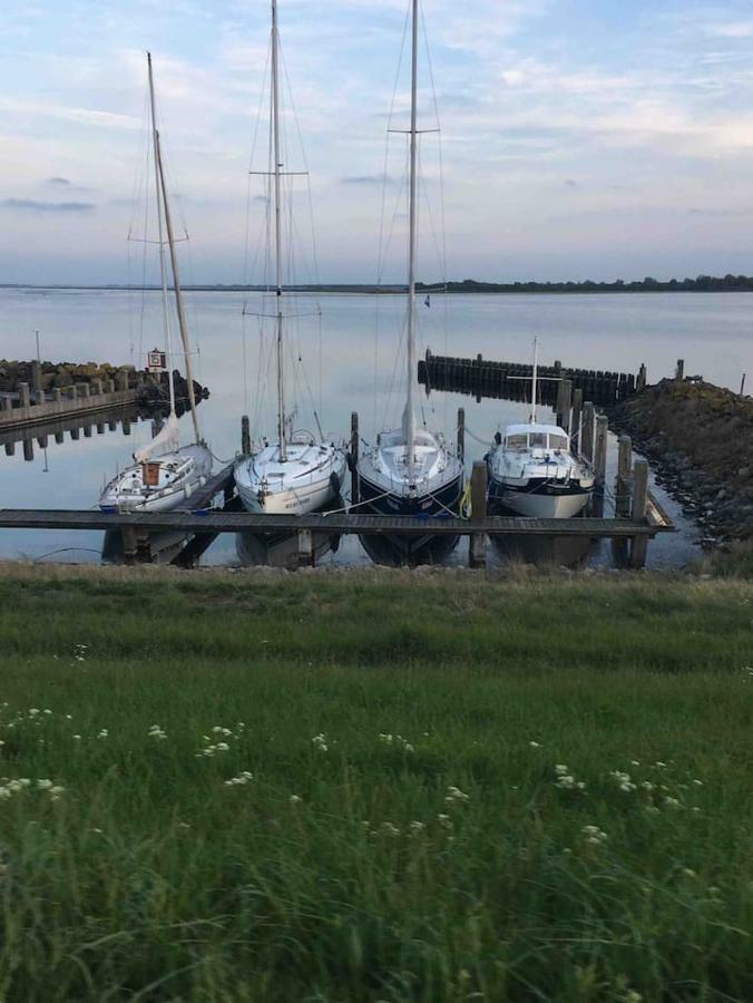 Vakantiehuisje In Ouddorp Dichtbij Het Strand エクステリア 写真
